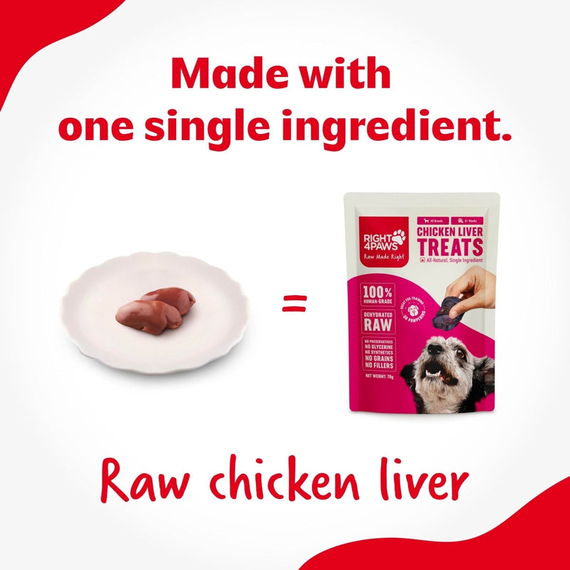 Chicken Liver Treats