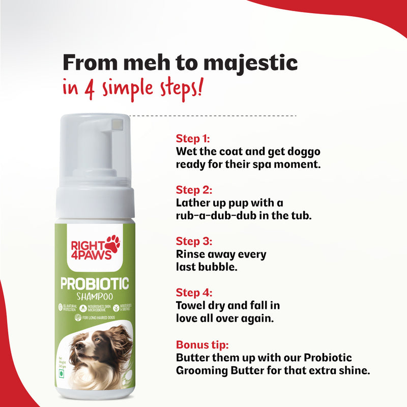 Probiotic Shampoo Liquid for Long Haired Dogs