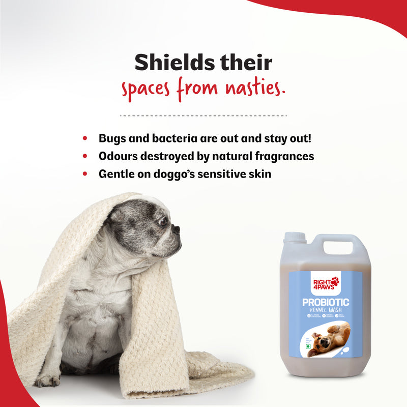 Probiotic Kennel Wash