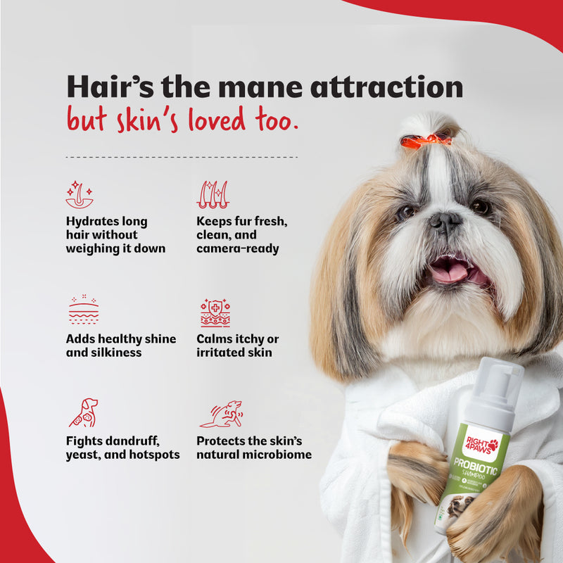 Probiotic Shampoo Liquid for Long Haired Dogs