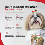 Probiotic Shampoo Liquid for Long Haired Dogs - Right4Paws