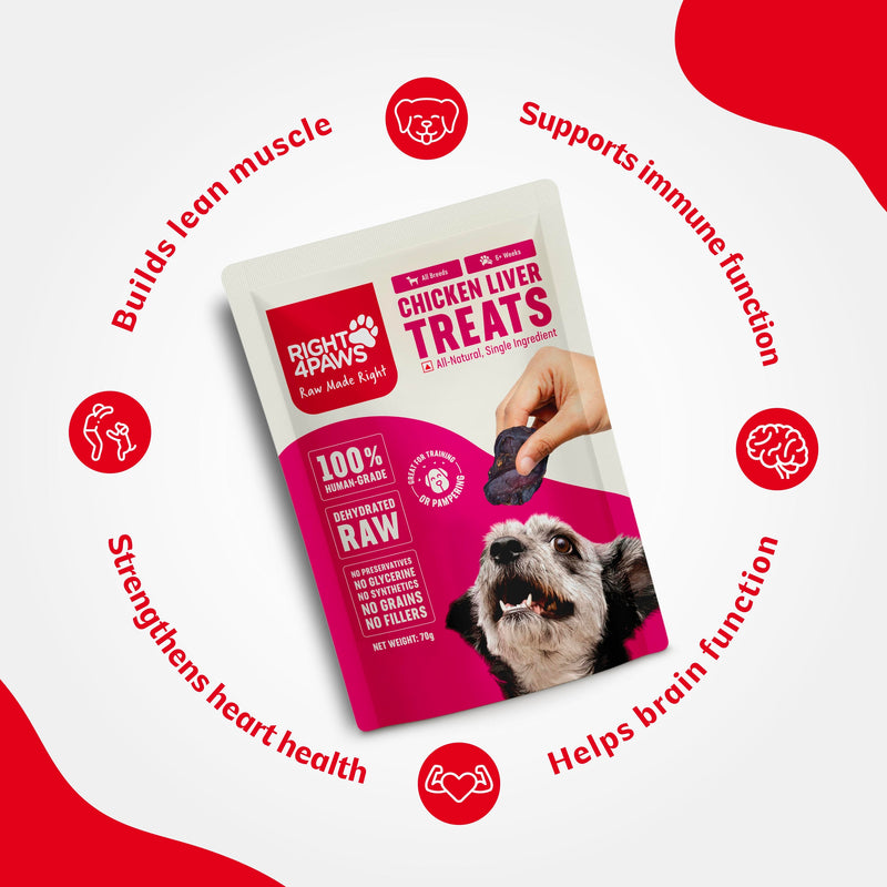 Chicken Liver Treats