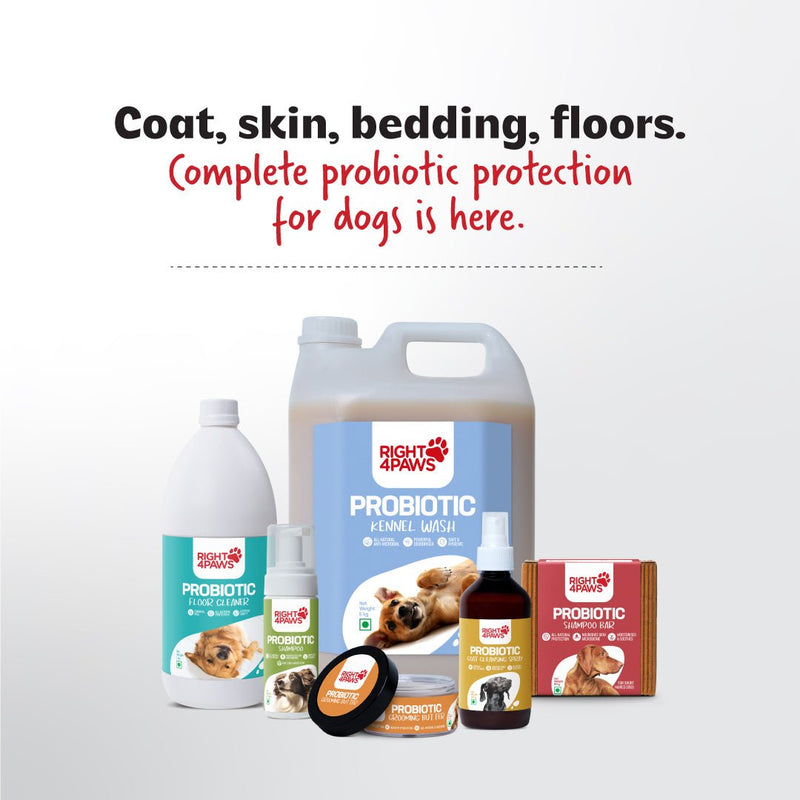 Probiotic Floor Cleaner