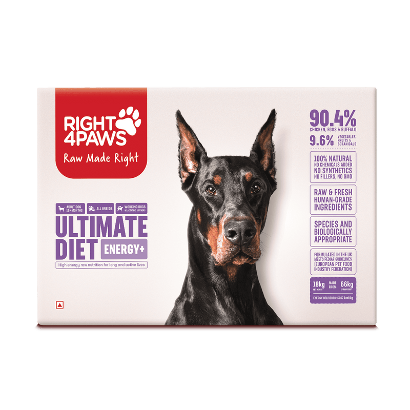 Breeders Club - Ultimate Diet - Energy+ (All Breeds)