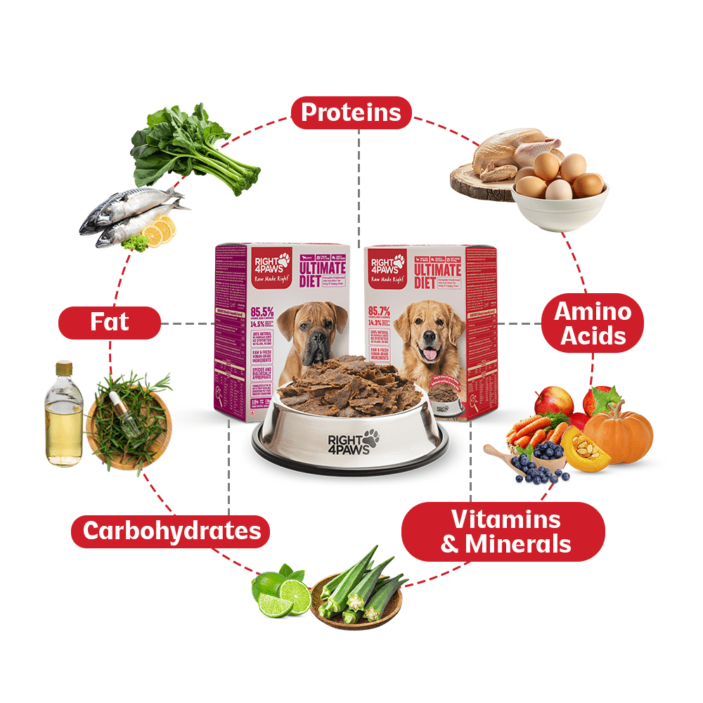Balanced Diet - Right4Paws