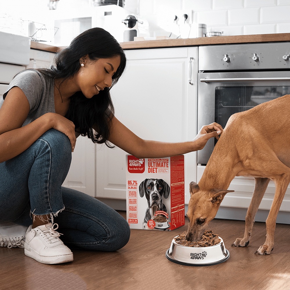 Minimally Processed Diet - Right4Paws