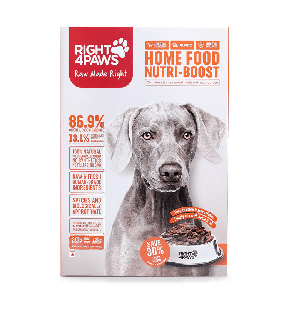 Complementary Meal - Right4Paws