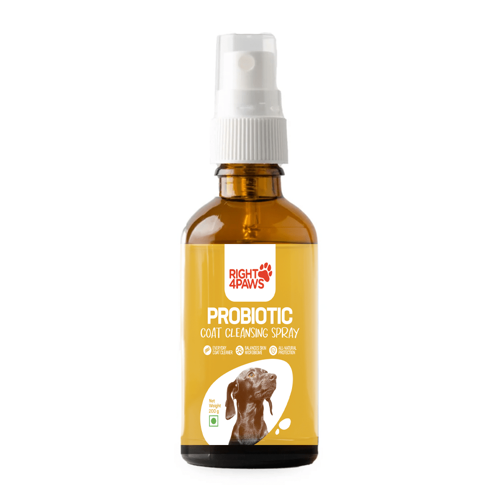 Wellness Products - Right4Paws