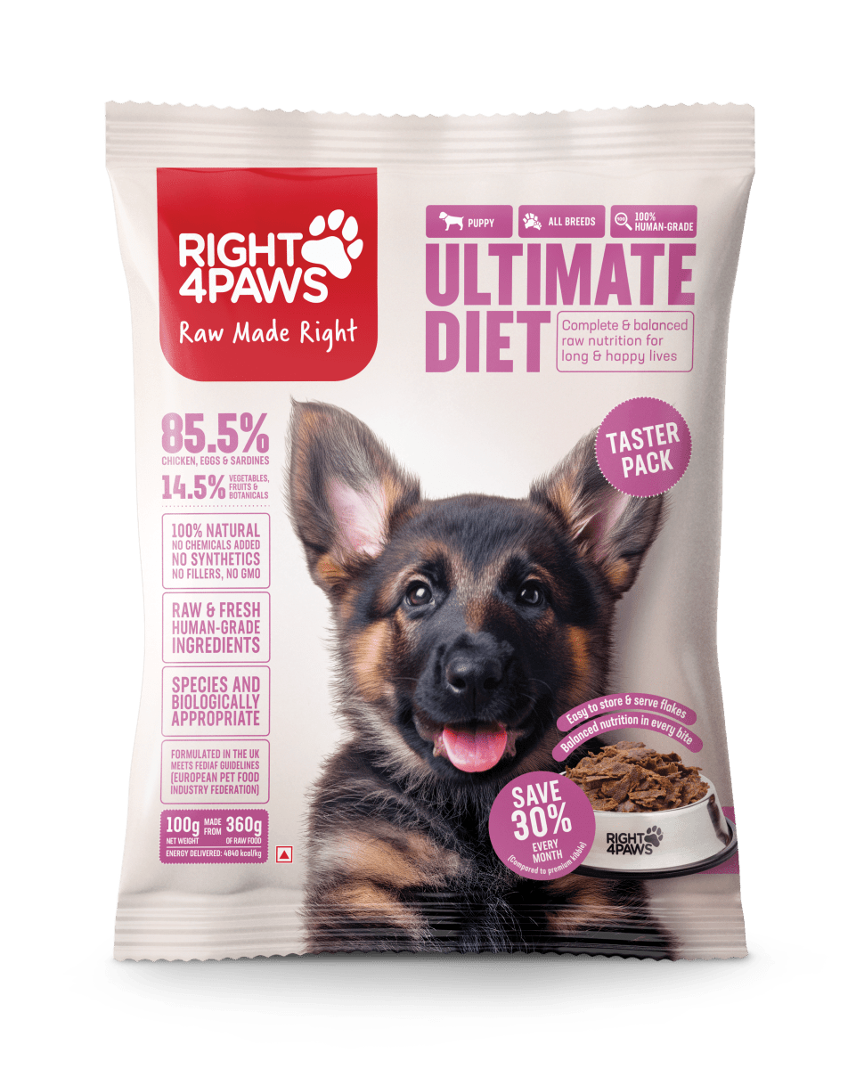 Power Packed Non Dog Food Diet DOGO FOODS – 100% Vegetarian High