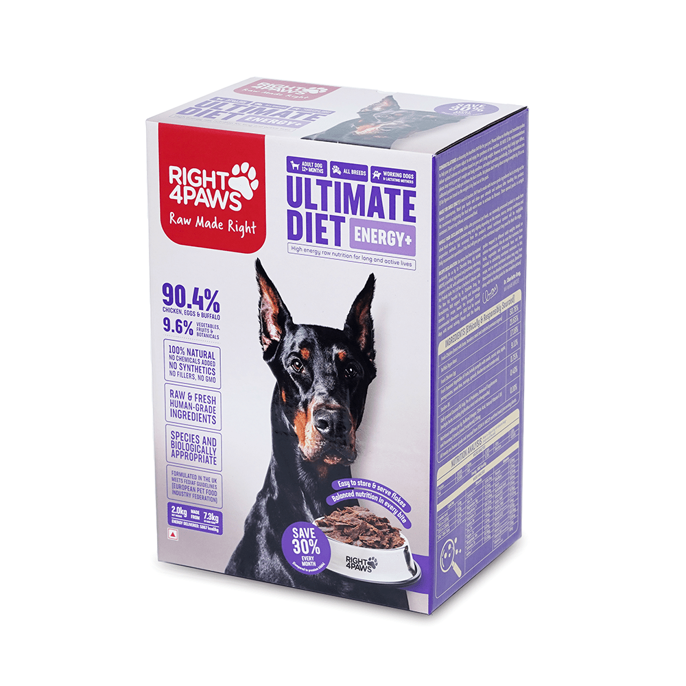 Dog Energy Food for Active, Working Lactating Dogs Right4Paws