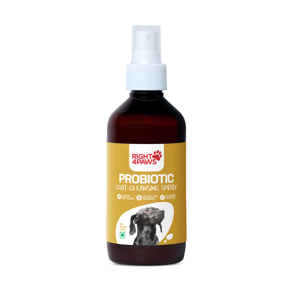 Probiotic Daily Coat Cleanser