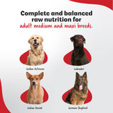 Ultimate Diet - Medium & Maxi Adult