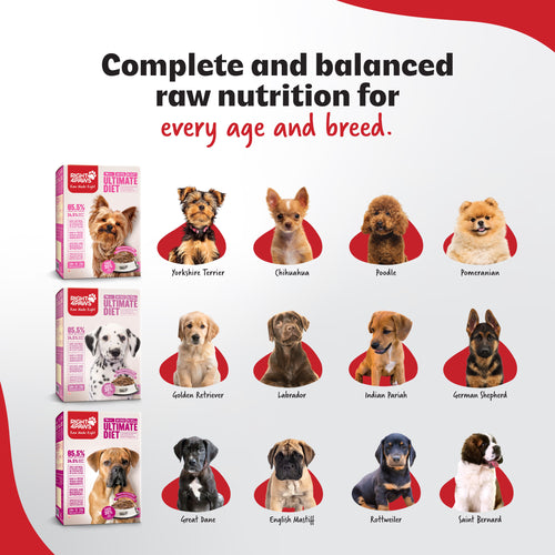 Breeders Club - Puppy (All Breeds)