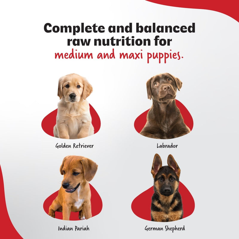 Ultimate Diet - Medium & Maxi Puppy