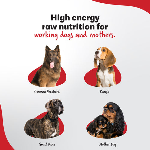 Breeders Club - Ultimate Diet - Energy+ (All Breeds)