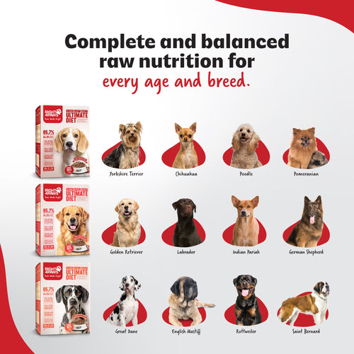 Breeders Club - Adult (All Breeds)