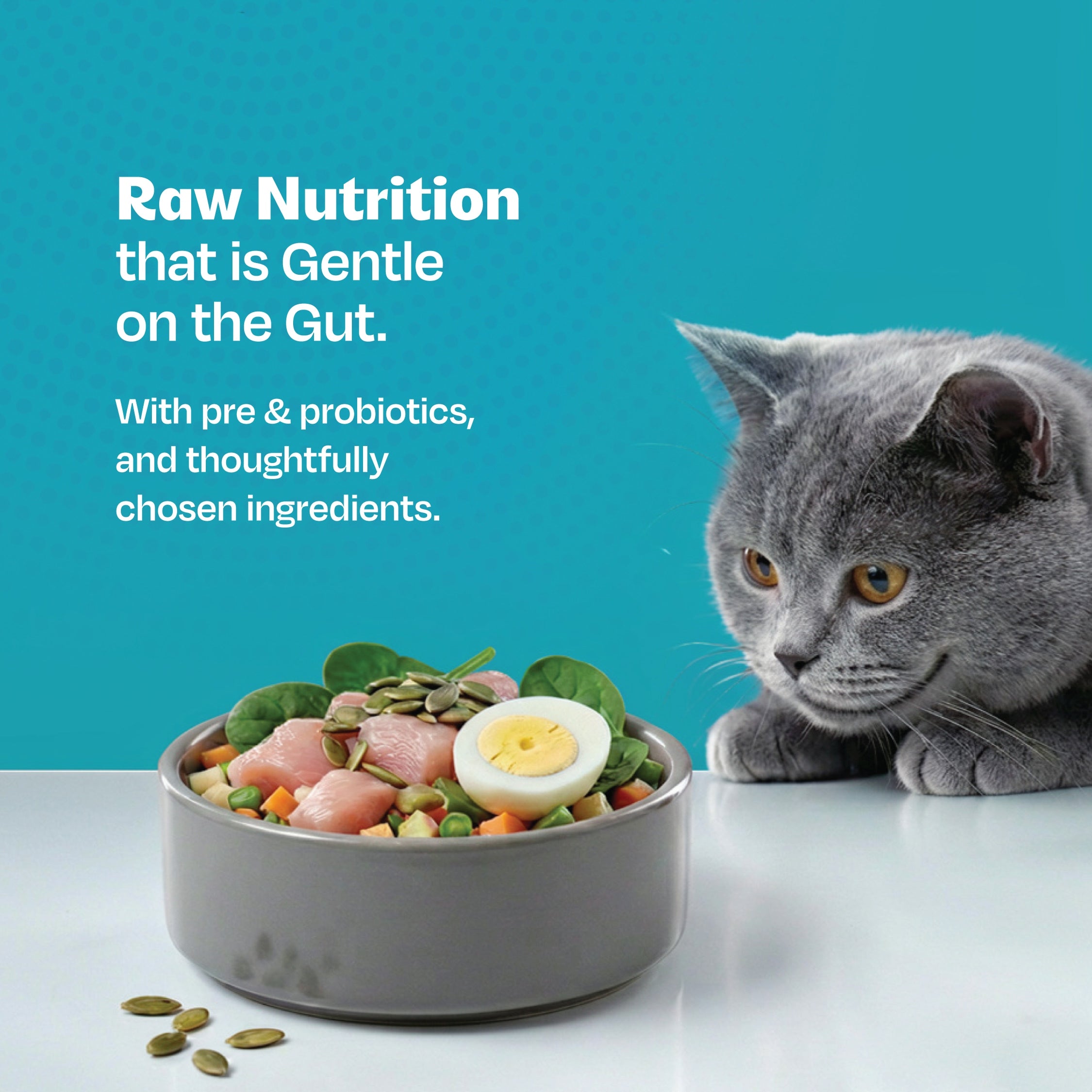 All Natural Cat Wet Meal