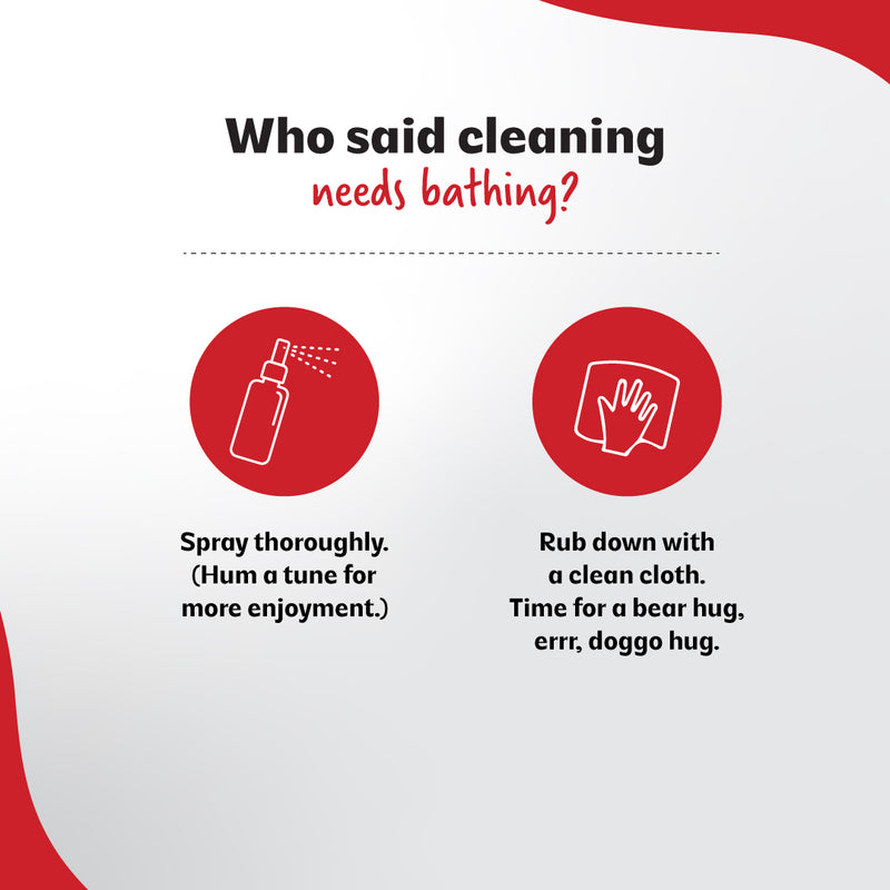 Probiotic Daily Coat Cleanser
