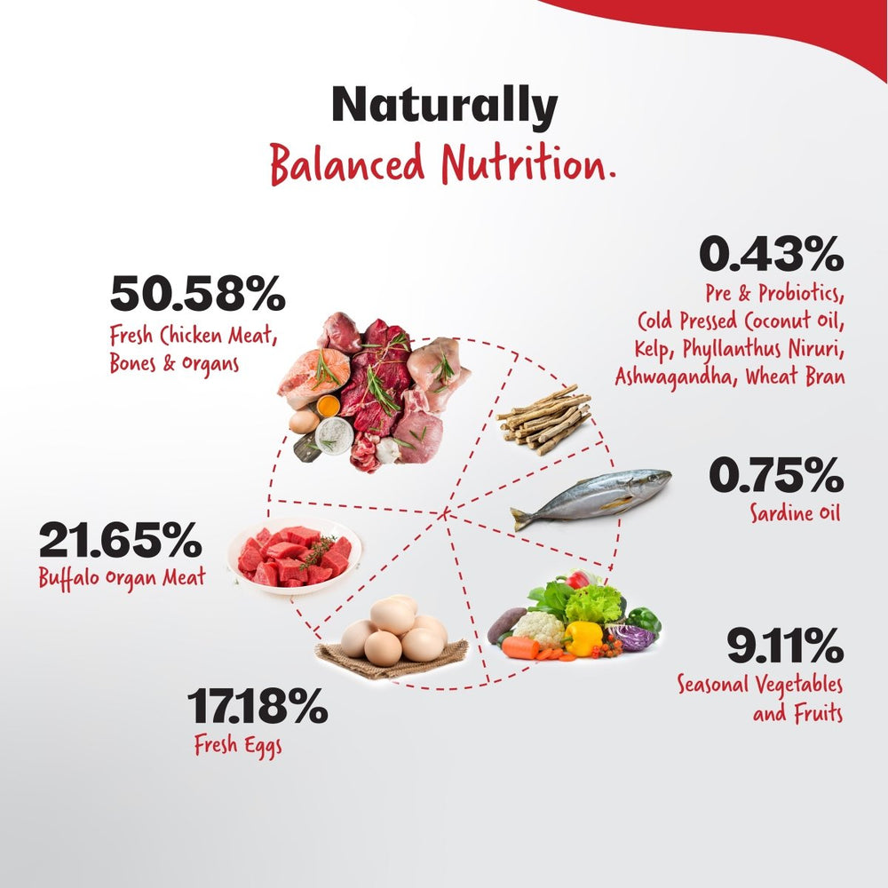 Ultimate Diet - Energy+