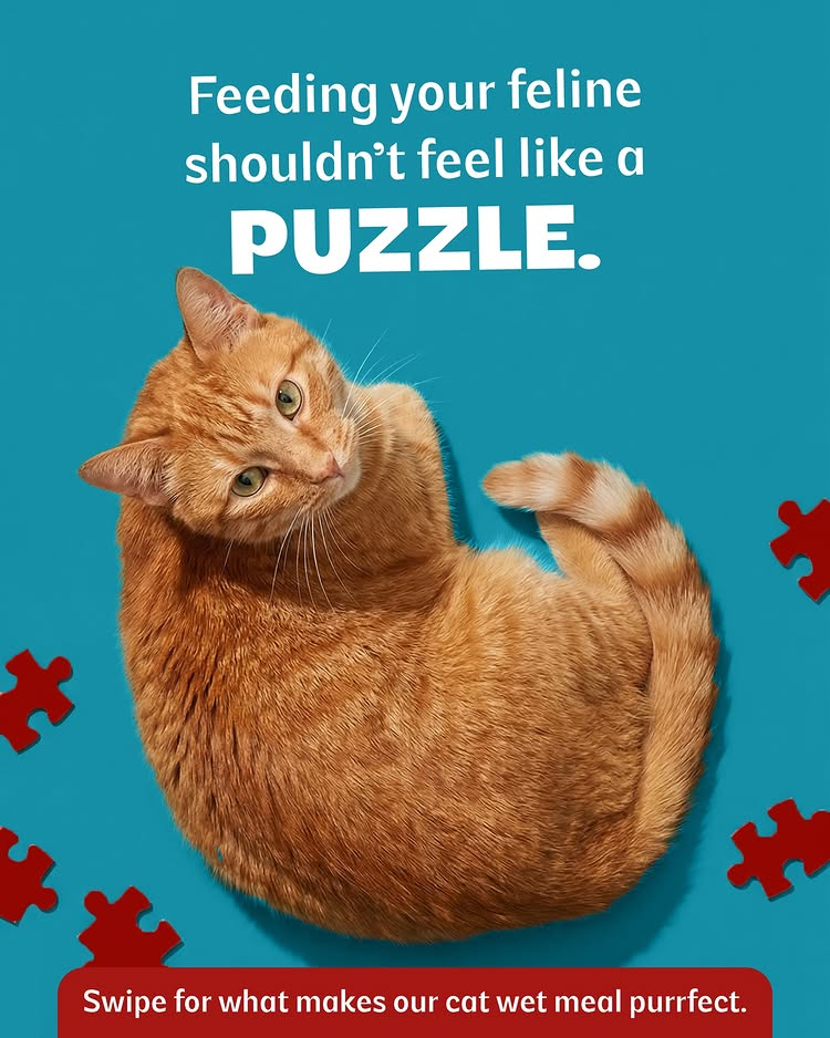 Instagram Campaign
