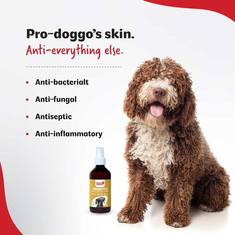 Probiotic Daily Coat Cleanser