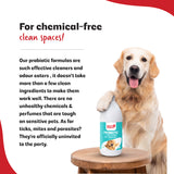 Probiotic Floor Cleaner
