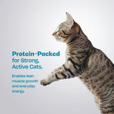 All Natural Cat Wet Meal