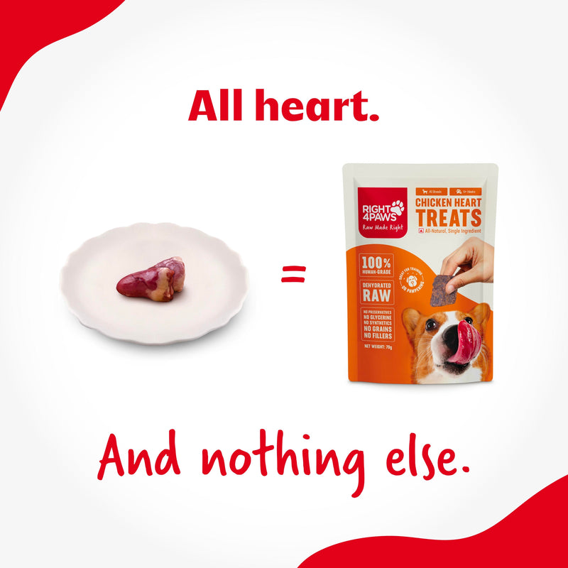 Chicken Heart Treats