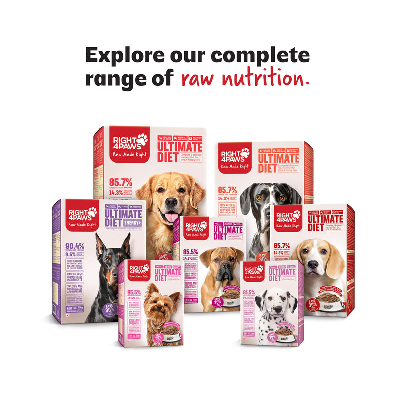 Taster Pack - Adult (All Breeds)