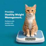 All Natural Cat Wet Meal