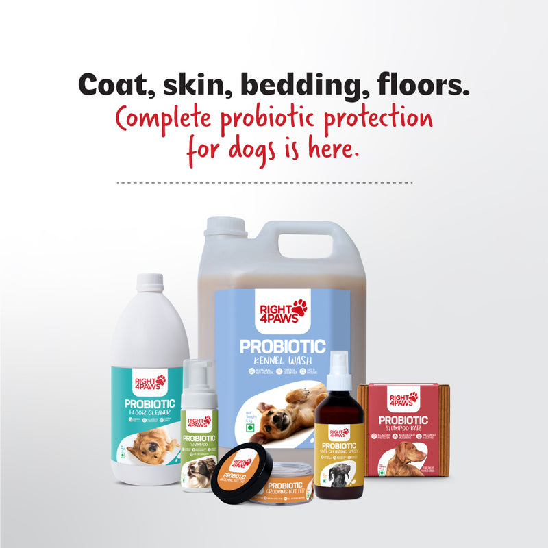 Probiotic Daily Coat Cleanser