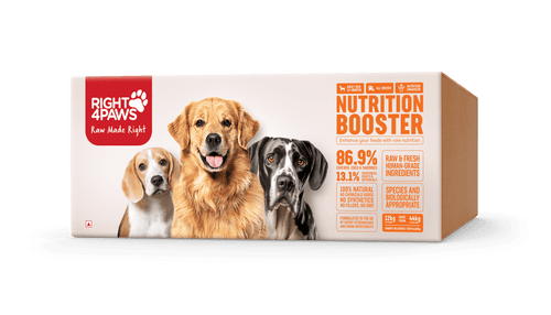 Breeders Club - Nutrition Booster (All Breeds Adult) - Right4Paws