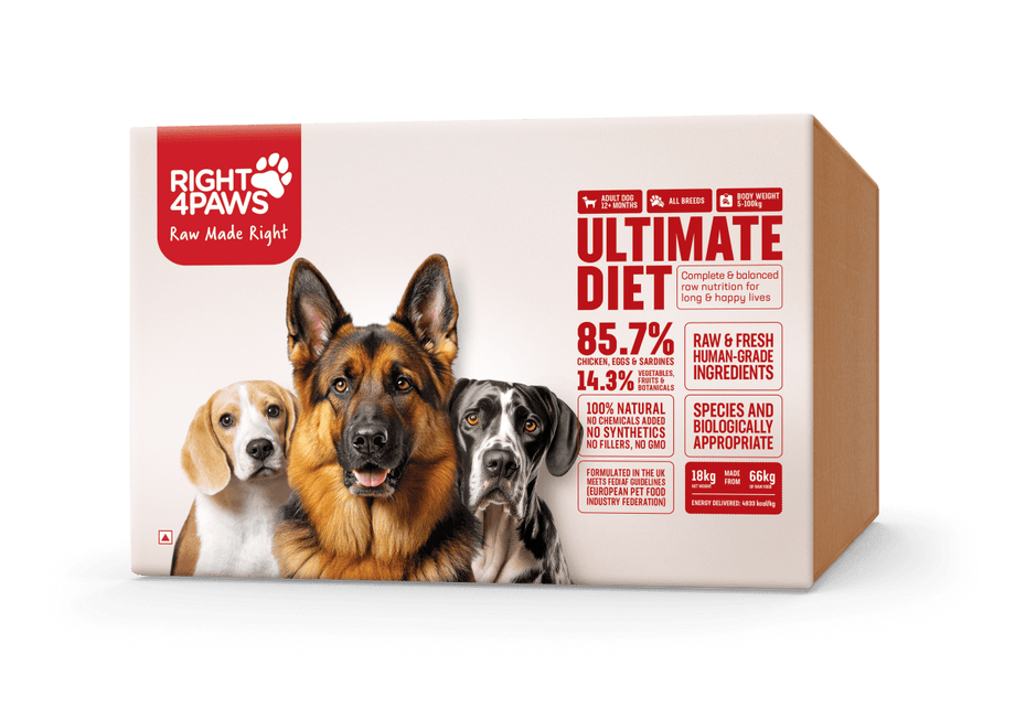 Breeders Club Adult (All Breeds) Dog Food for All Adult Breeds by  Right4Paws • Right4Paws