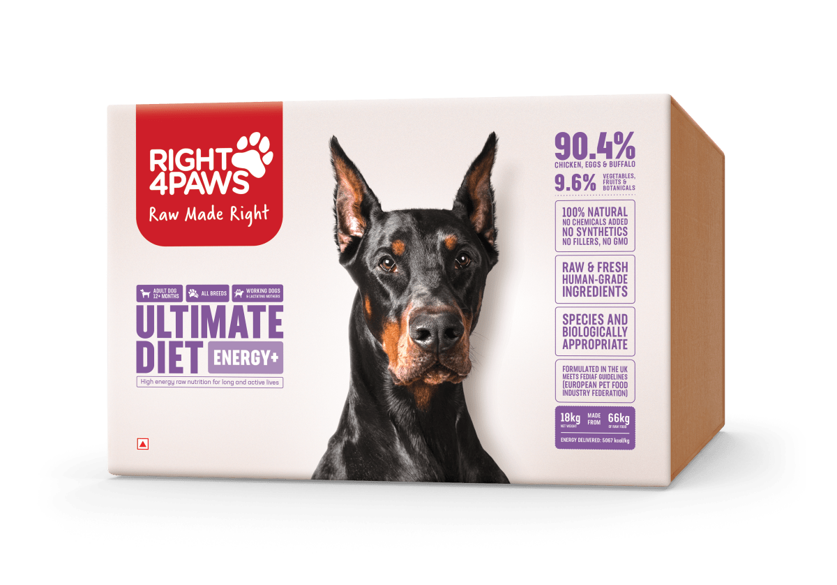 Breeders Club Ultimate Diet Energy+ Dog Food for All Breeds by Right4Paws • Right4Paws