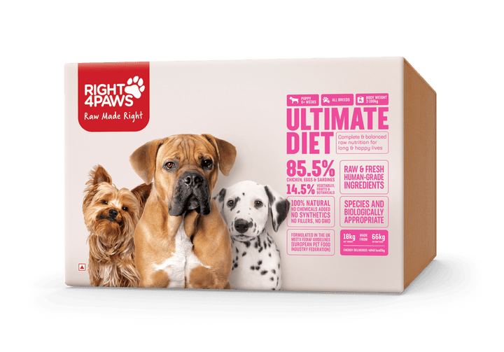 Breeders Club Dog Food  Premium Nutrition for Puppies & Adults |  Right4Paws | Right4Paws