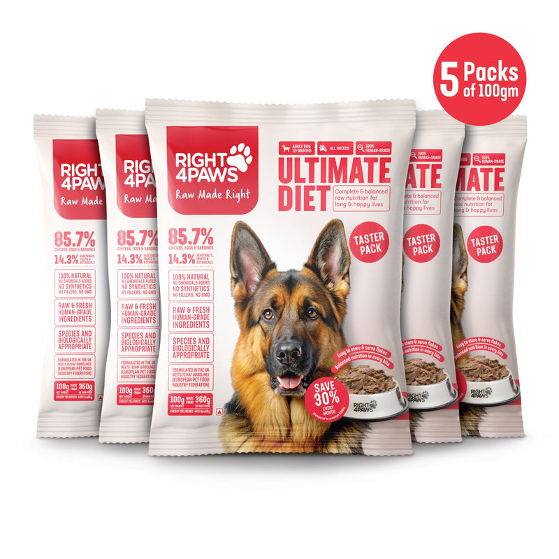 Taster Pack - Adult (All Breeds)