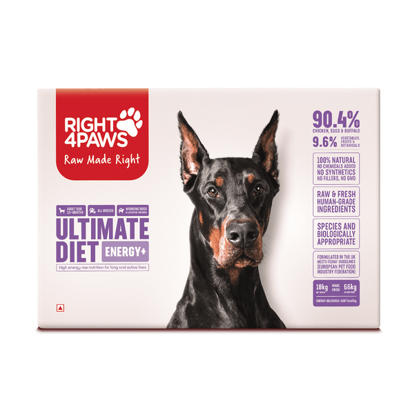 Breeders Club - Ultimate Diet - Energy+ (All Breeds)