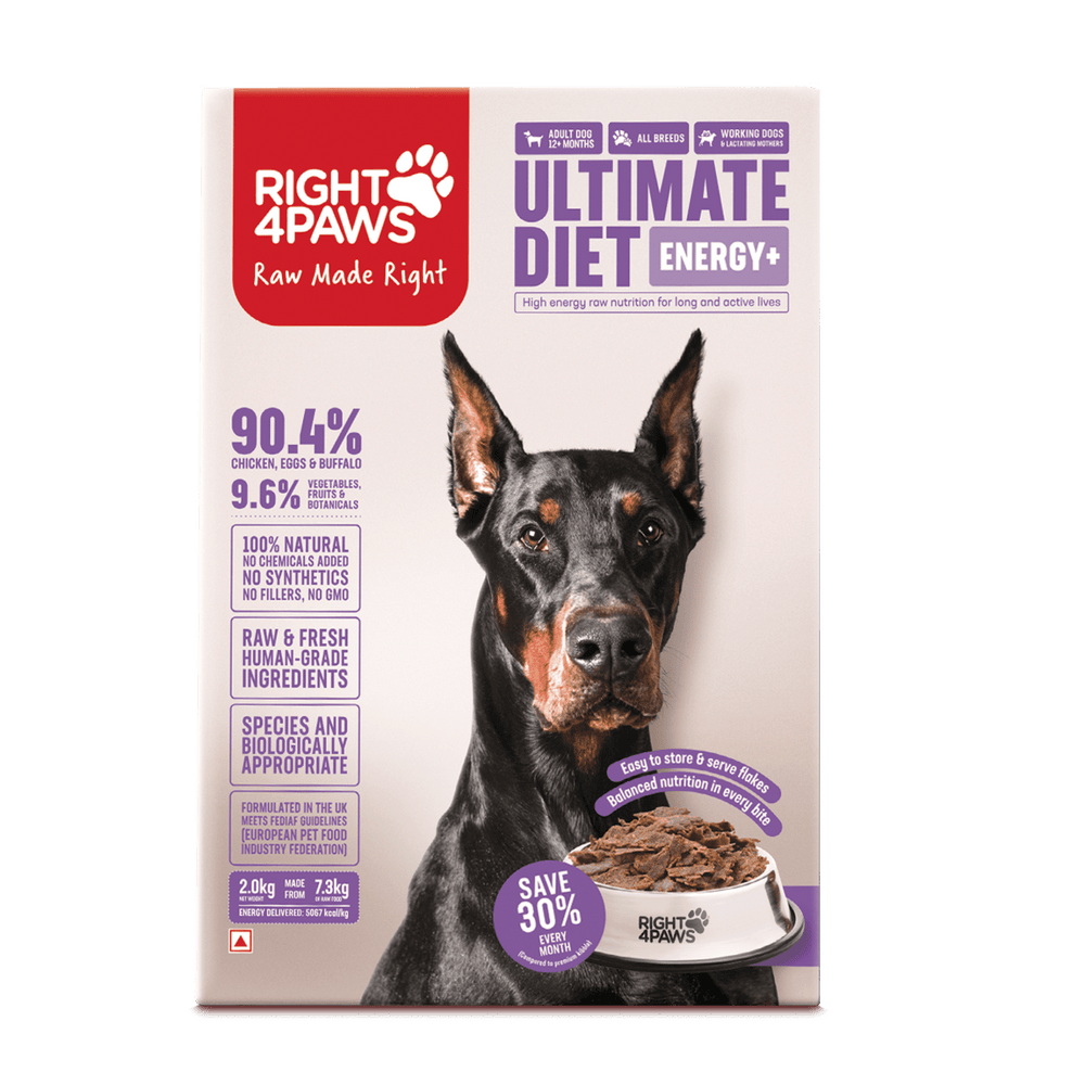 Ultimate Diet - Energy+
