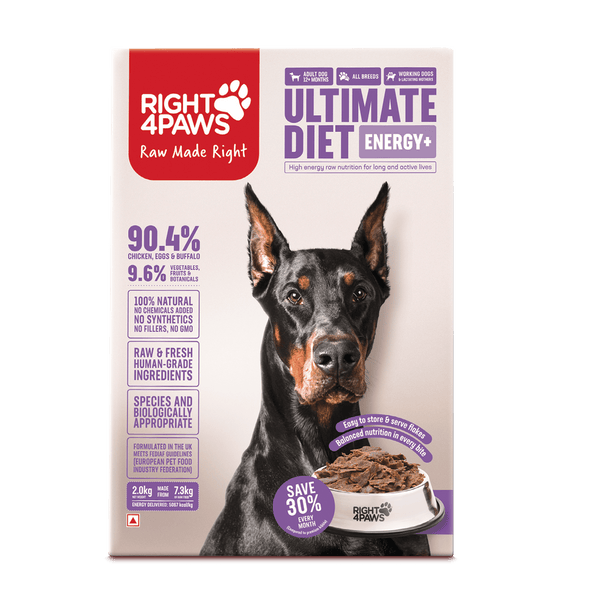 Ultimate Diet - Energy+
