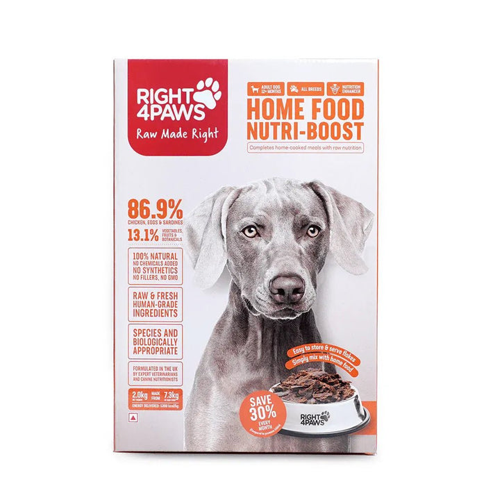Best Dog Food for Puppies & Adults  Small to Large Breeds | Right4Paws