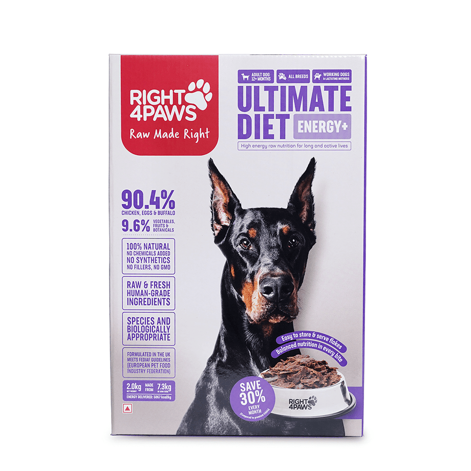 Dog Energy Food for Active, Working Lactating Dogs Right4Paws  Performance Diet India • Right4Paws