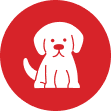 Dogs