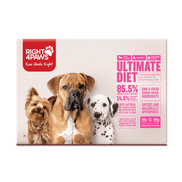 Breeders Club - Puppy (All Breeds)