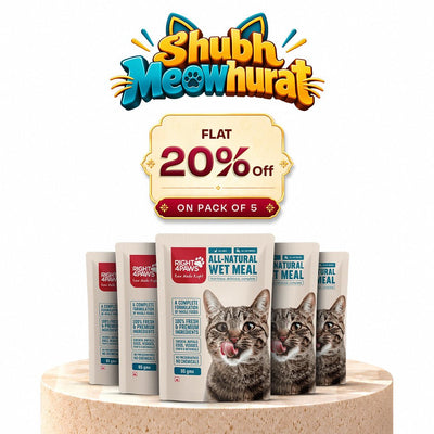 All Natural Cat Wet Meal