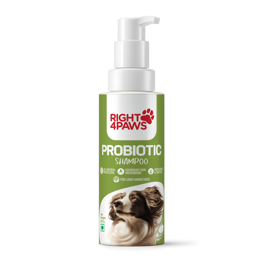 Best Shampoo for Long Haired Dogs: Top Picks for Silky Coats