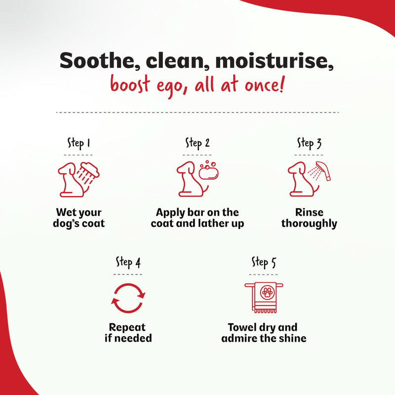 Probiotic Shampoo Bar