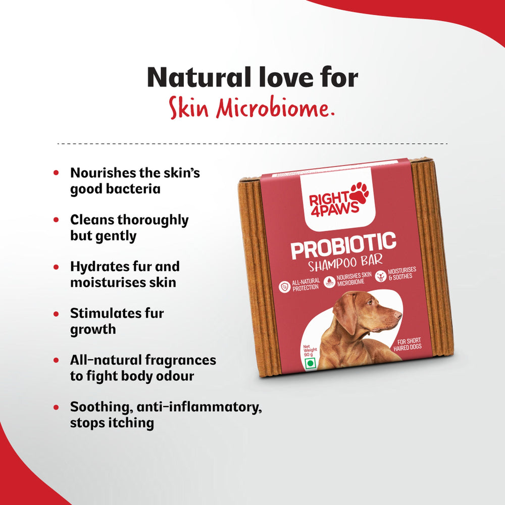Probiotic Shampoo Bar