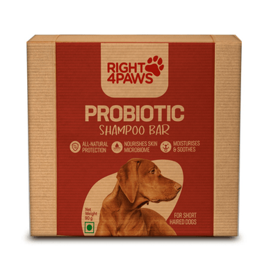 Probiotic Shampoo Bar for Short Haired Dogs