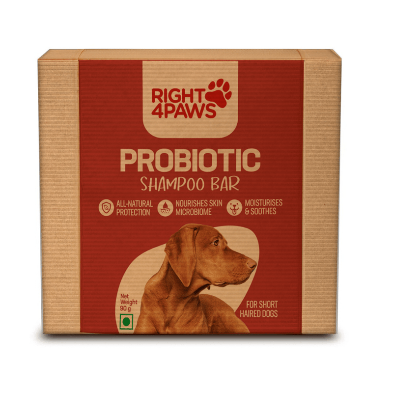 Probiotic Shampoo Bar for Short Haired Dogs