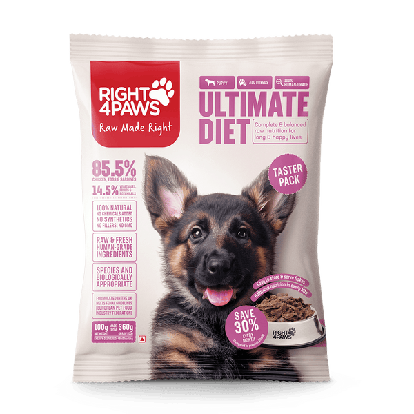 Taster Pack - Puppy (All Breeds)